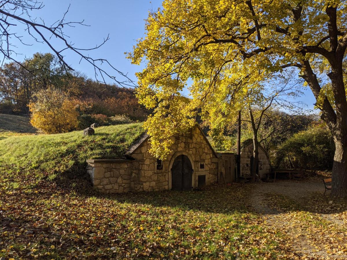 Bonito - Historischer Streckhof Villa Sérc Kültér fotó